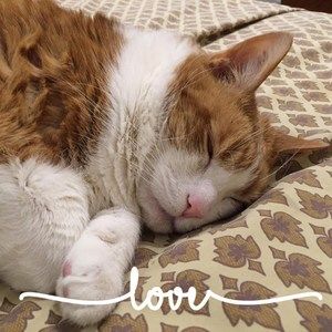 Meet your Posher, Joan